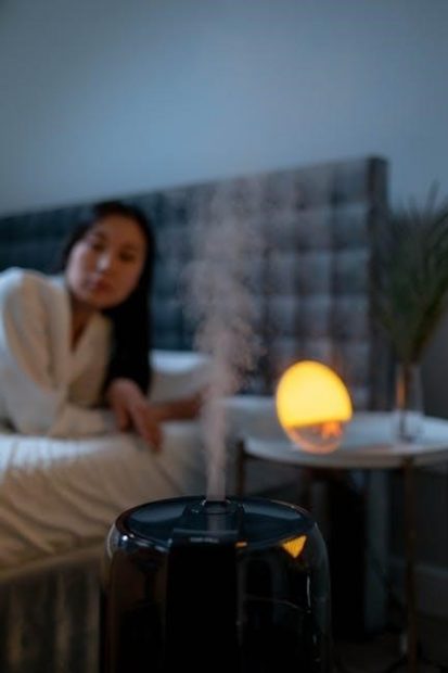 holmes humidifier instructions
